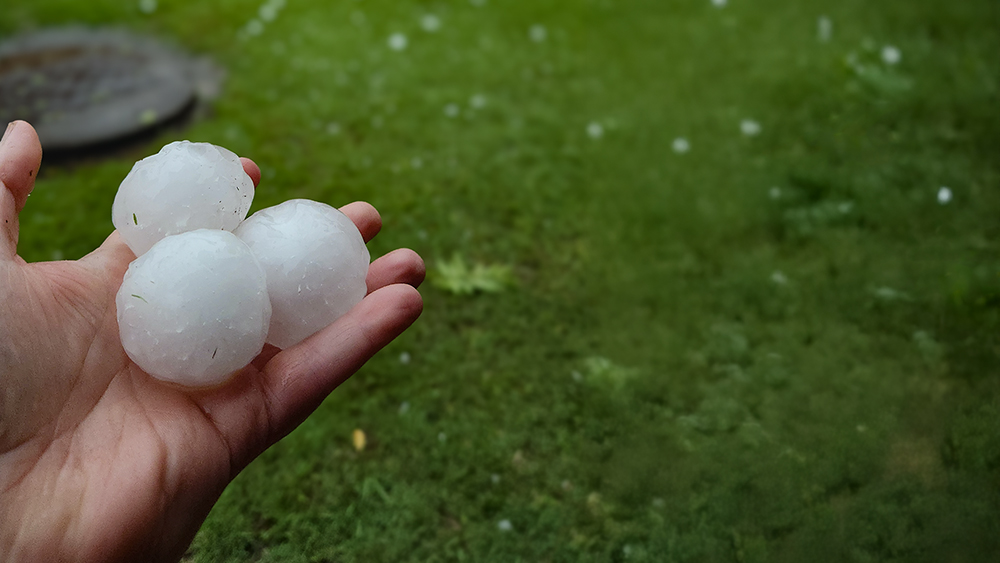 You are currently viewing Storm Season Update